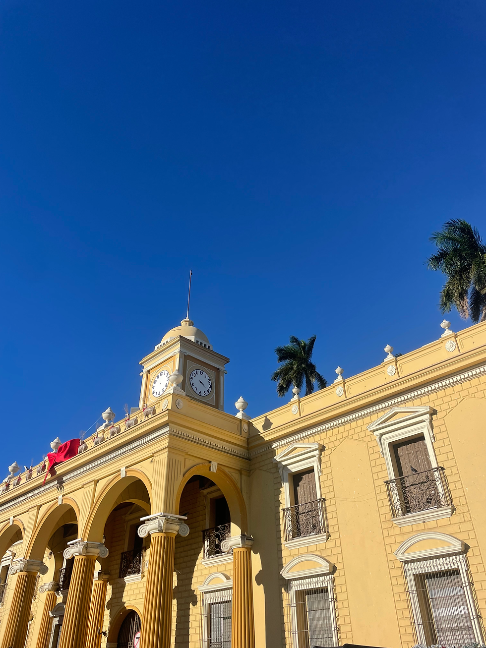 Arriver au Salvador : Astuces pratiques et plongée dans l'histoire du pays