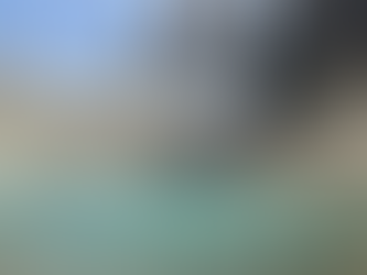 La Patagonie Chilienne : entre Punta Arenas & Puerto Natales