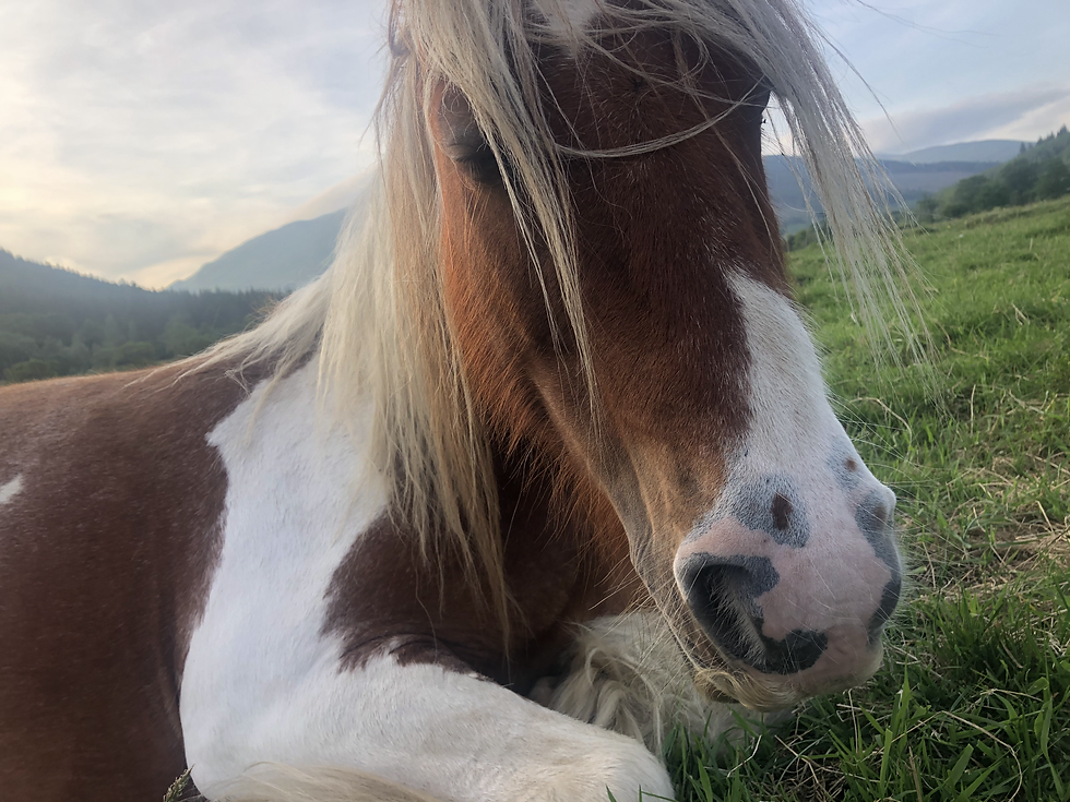 09D51A58-436E-4F8F-89FF-3E34D7CFF464