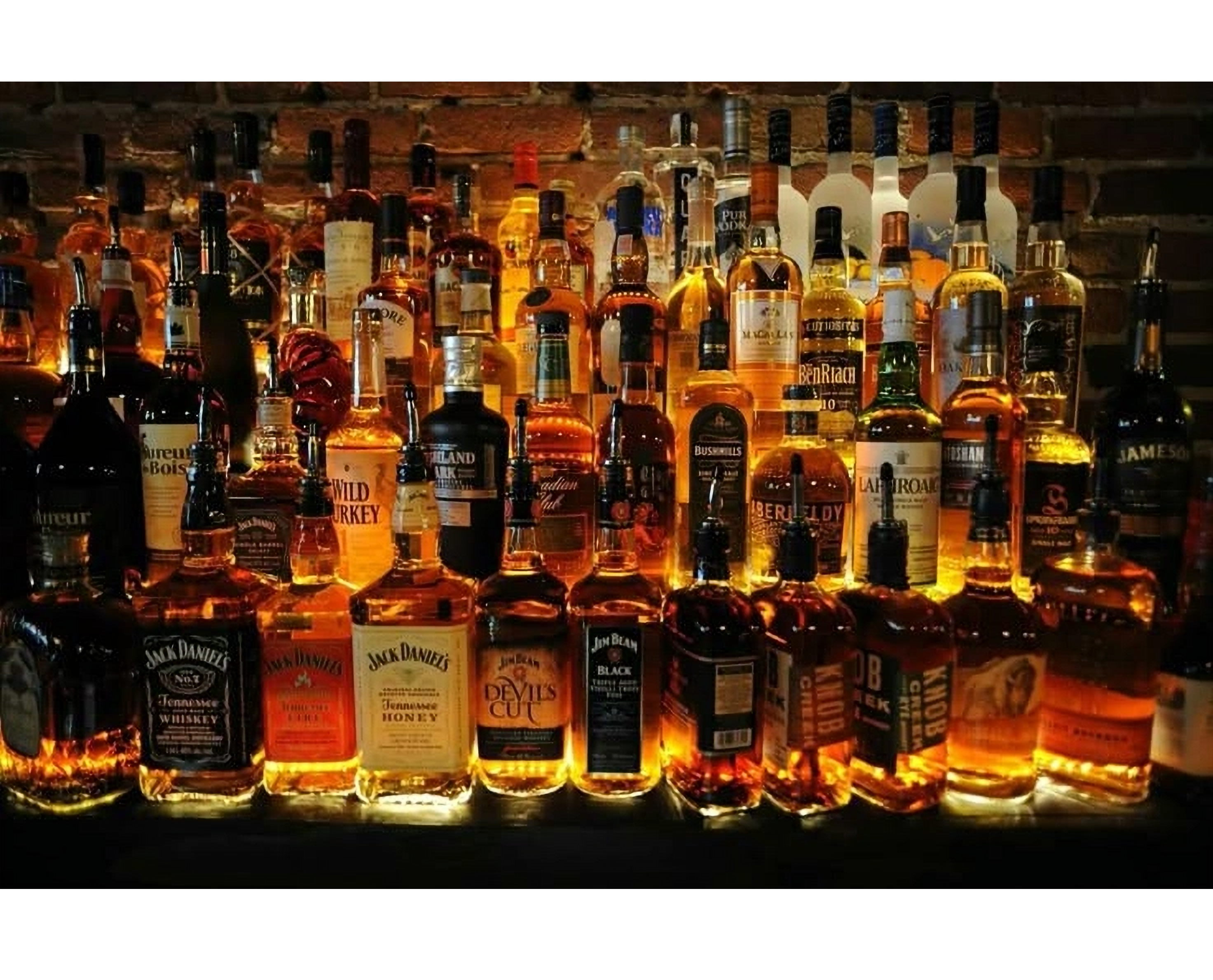 Arranged Food and Objects