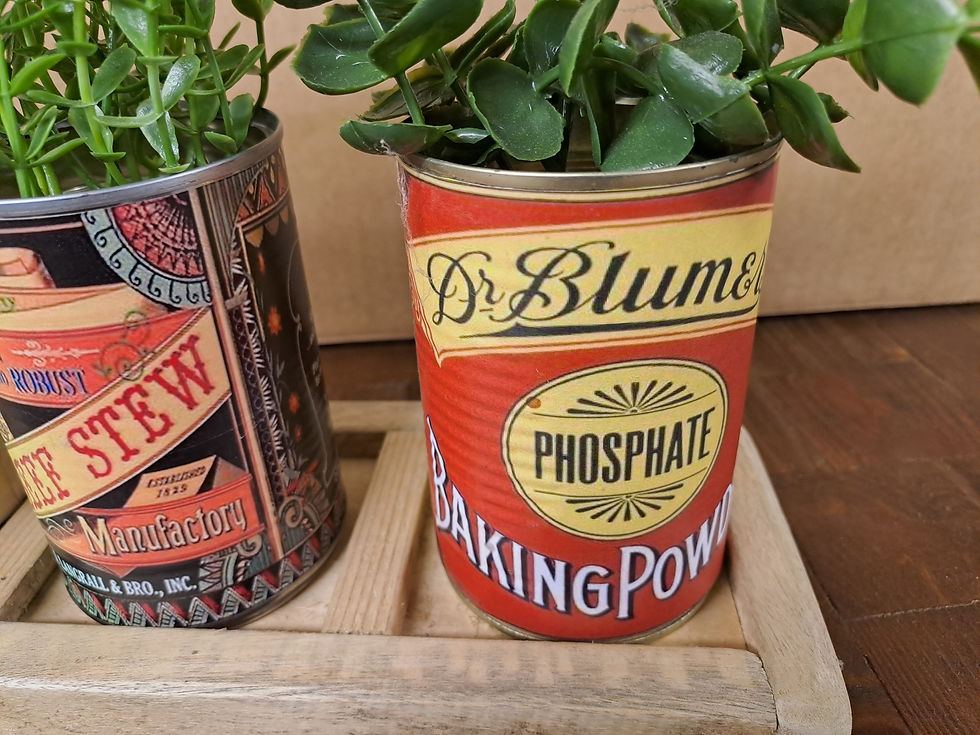 Thumbnail: Vintage style set of three tin can indoor plant holders with wooden tray