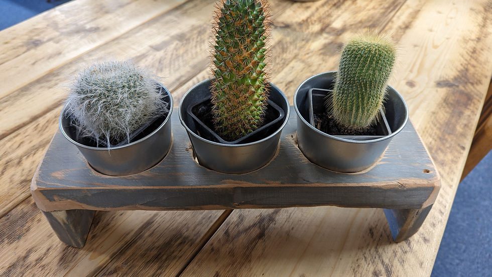 Thumbnail: Wooden plant pot holder with 3 metal plant pots