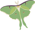 luna-moth-3x3.png