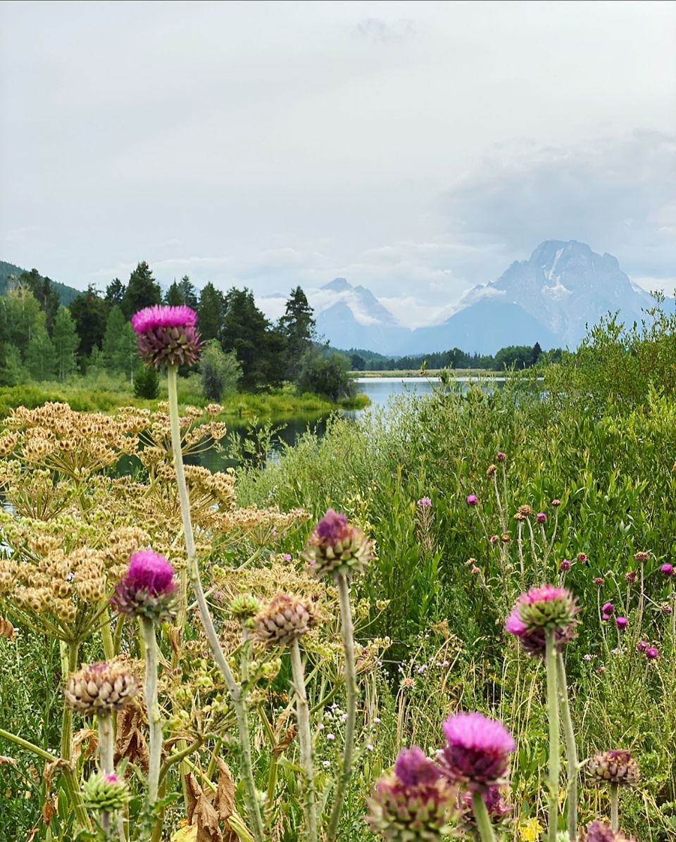 Oxbow Bend