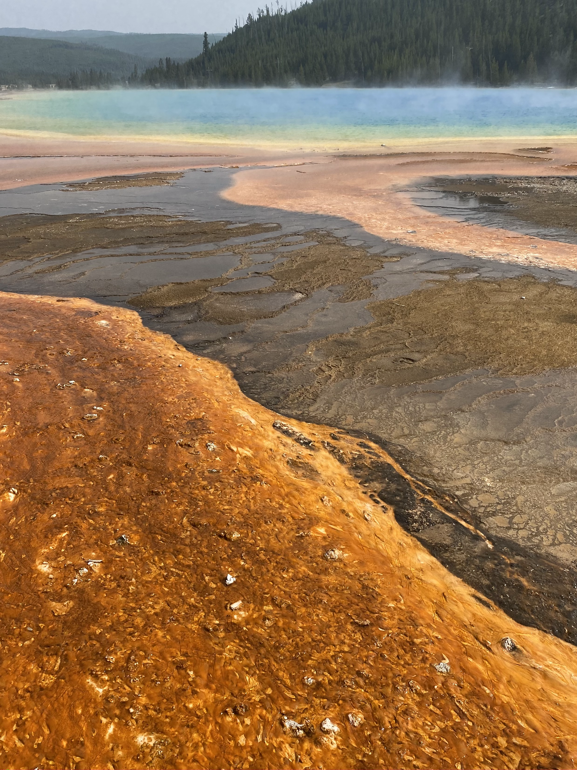 Grand Prismatic Spring