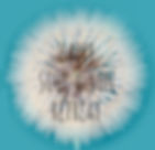9B351118-2B74-4D56-803F-E8025EC93A24.jpe