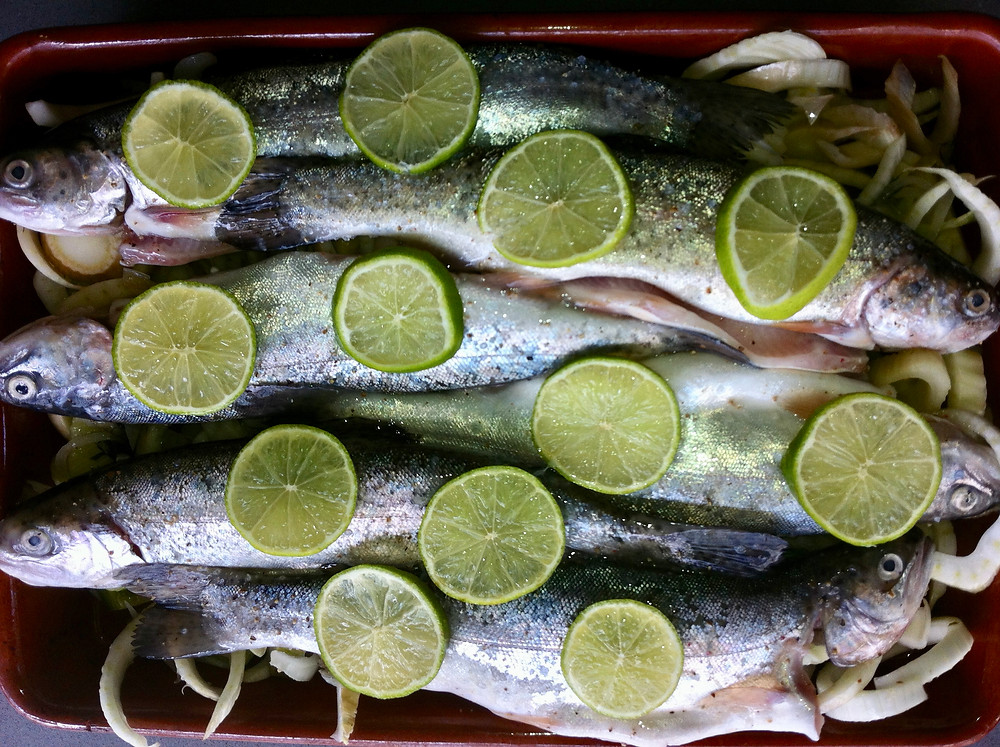 Forel in Pastis