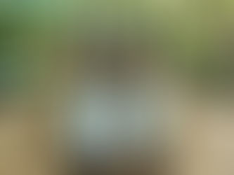 Acheter la vanille en Guadeloupe : ce trésor cultivé au cœur de la forêt par Didreau