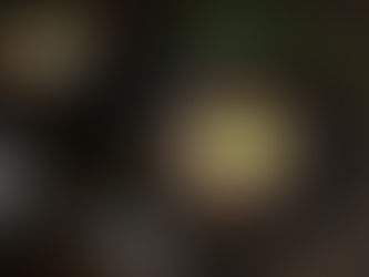 Vegetarische Kraftsuppe mit Schwarzen Bohnen & Roten Datteln