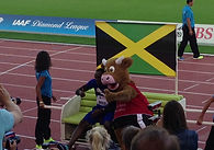 Usain Bolt Weltklasse Zürich