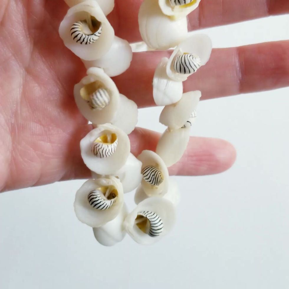Thumbnail: Retro Zebra Shell Celluloid Choker