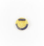 Thumbnail: 10k GB Soroptimist International Assoc. Pin