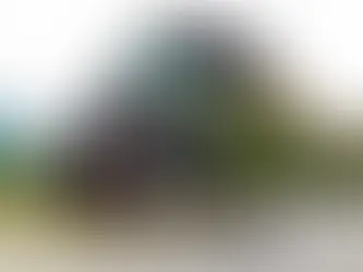 שלווה בתקשורת: הסיפור של הסעות נגישות