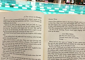 13642917_1208868985845990_559108226_n.jp