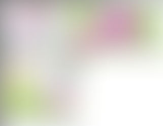 生活クラブ生活協同組合10月2号「足裏洗ったことありますか？」「お肌やさしく洗えてますか？」