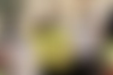 Land justice legislation passes, making publicly owned property available