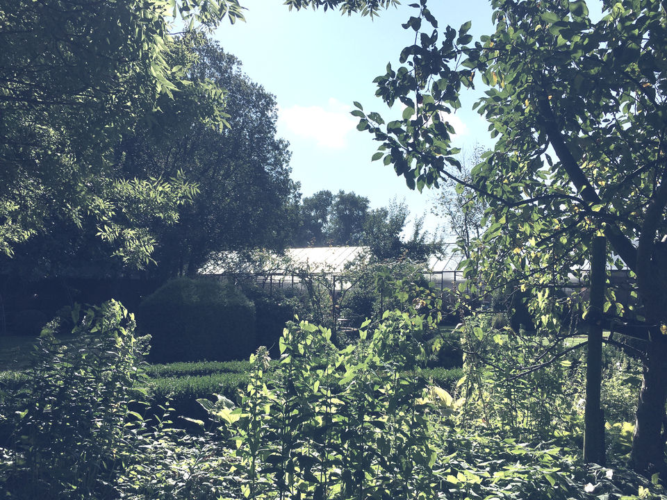 IMG_9635.jpeg