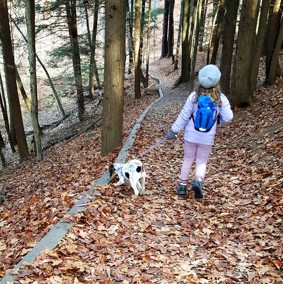 A young Frankie leads Bones down a leaf-covered forest trail in autumn, her blue backpack and gray beanie visible from behind as Bones sniffs the ground beside her, tall trees lining the path ahead.