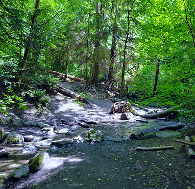 Schmitz Park.jpg