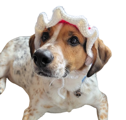 Thumbnail: Crochet Pet Hats