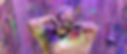 Close-up of a grown woman gleefully covered head-to-toe in paint at Wicked Rae’s splatter room in Seattle - grinning with childlike joy as vibrant colors coat her hair, face, and clothes, radiating pure happiness and artistic abandon
