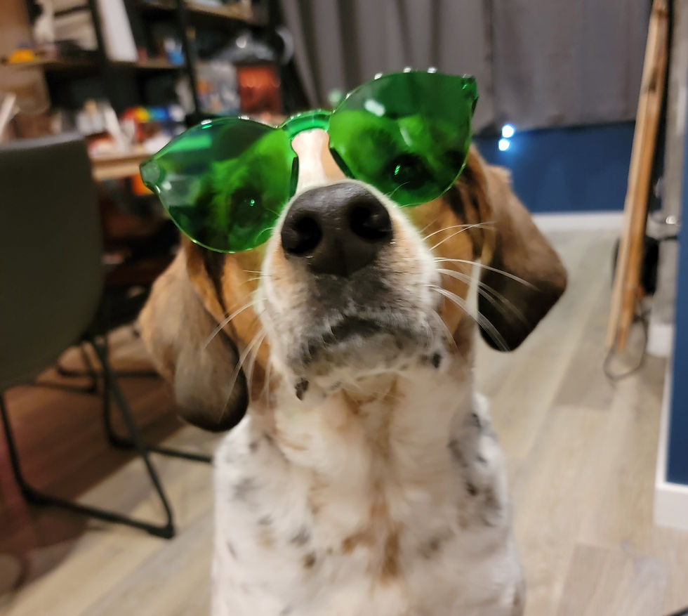 Paint Night With Dogs