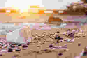 Waste on the beach