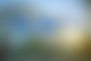 Adventures Of A Civil Servant (Part 1)