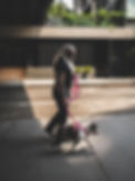 Grey Wolf - man with long white hair and white beard - walking a bulldog with a pink leash on street in NYC