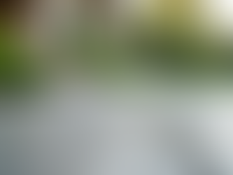 Top Benefits of Professional Concrete Cleaning Services