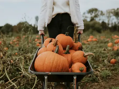 From Pumpkin Skeptic to Fanatic: My Journey with Pumpkin Spice