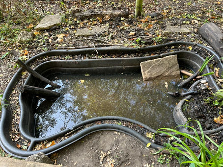 Winter Restoration Projects Begin at Sutton Ecology Centre