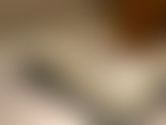 Semifreddo di ricotta e cioccolato fondente