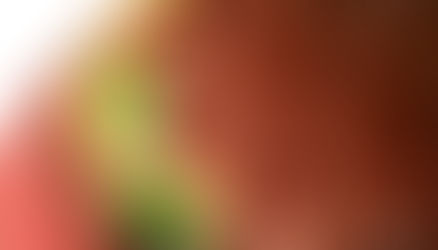 Torta pere e cioccolato