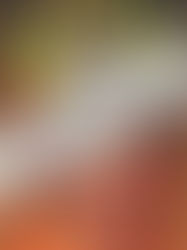 My Book has been nominated for an award!