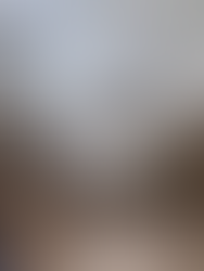 Bats in the Library?