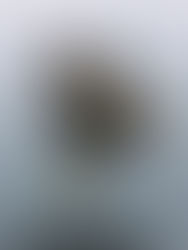 よみうりカルチャー横浜で