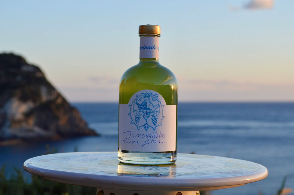 Thumbnail: Finocchietto Fennel Liqueur Assuntina di Capri