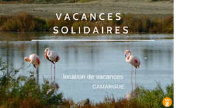 Vacances solidaires