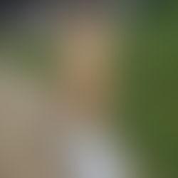 Plus qu'un colis alimentaire