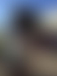 Pour l'Ukraine et la Roumanie