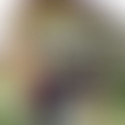 Journée Internationale pour l’élimination de la violence à l’égard des femmes - 2021