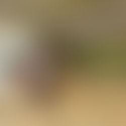 Fête des 20 ans de notre partenaire Alo Mik