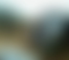 Bonnes nouvelles de Tshudi