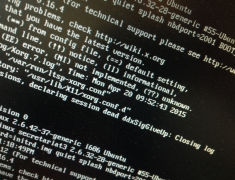 Bénévoles invisibles