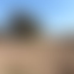 Sur place pour suivre les actions d'Aroudane