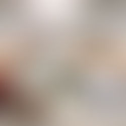 Stands au Salon Des Solidarités