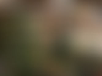 Un magasin "ennoëllé"!