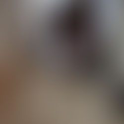 Fourmilière et floraison