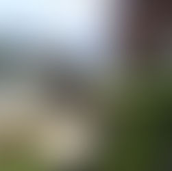 Votre ressourcerie, encore plus verte!